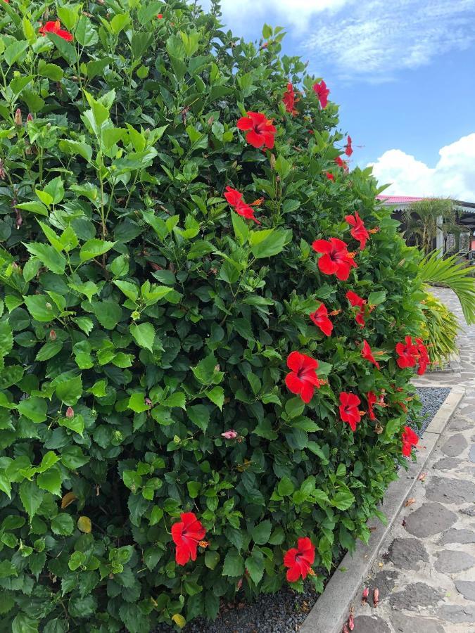 Lovely Apartment In Flic En Flac, Close To The Beach And All Amenities. Экстерьер фото